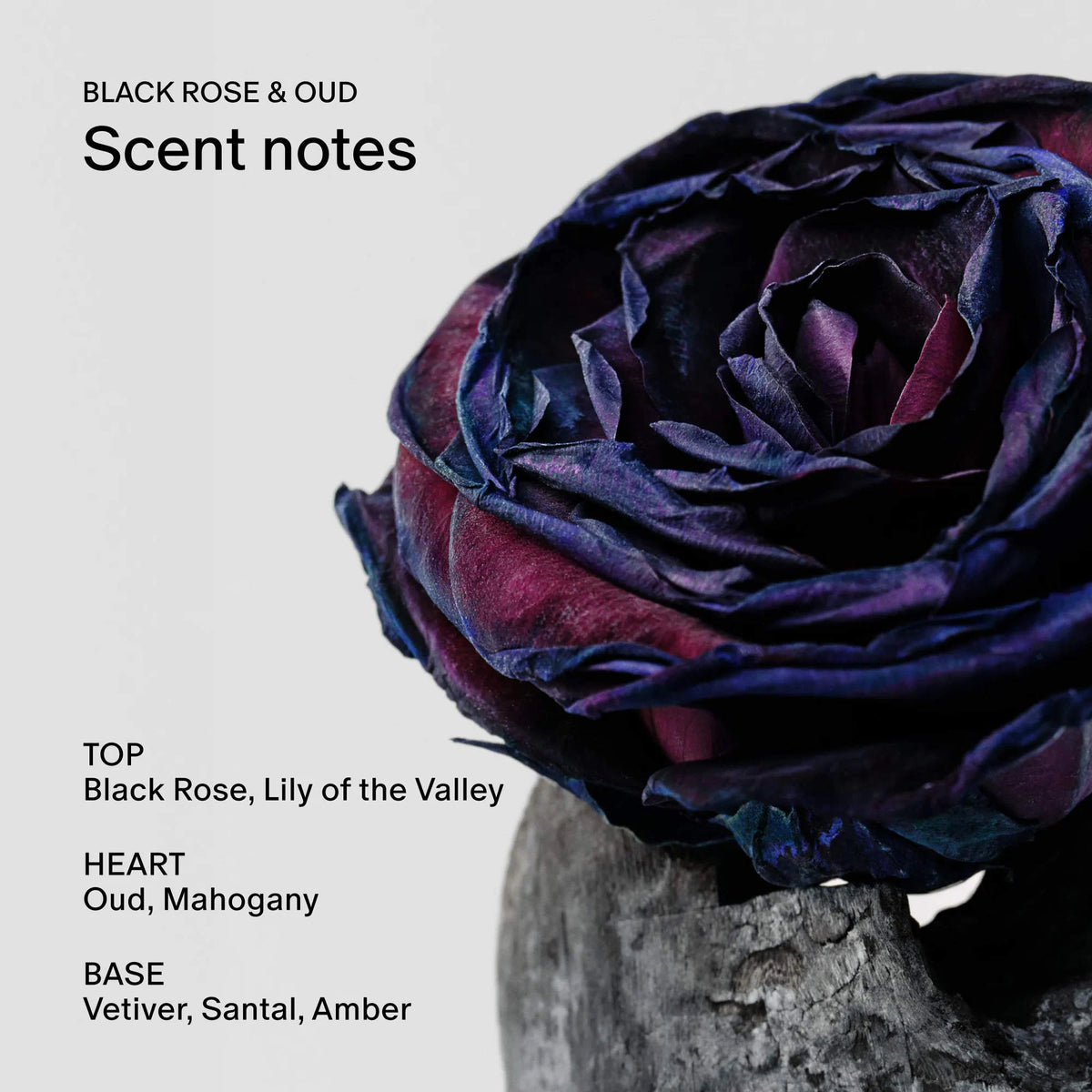 Salt & Stone
Black Rose & Oud Extra-Strength Aluminum-Free Deodorant..