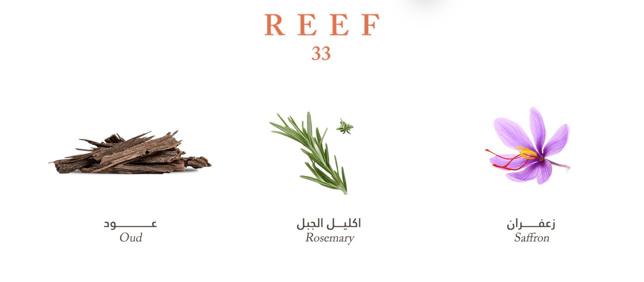 Reef 33 Perfume Unisex 100 mL