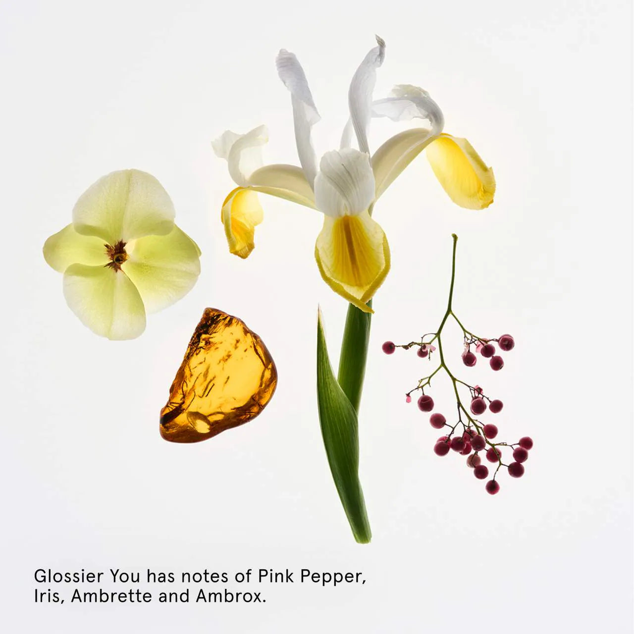 Glossier 
Deodorant Refillable Case + YOU Refill Set..