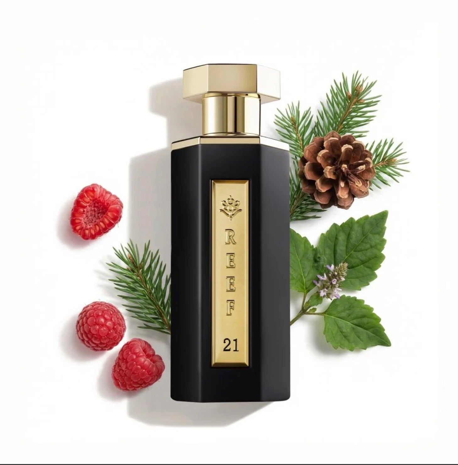 Reef 21 Perfume
Red Berry, Cedarwood/100 ml