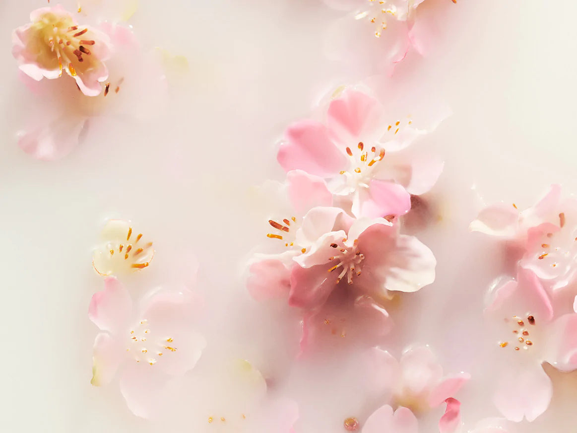 THE RITUAL OF SAKURA
Foaming Shower Gel 50ml