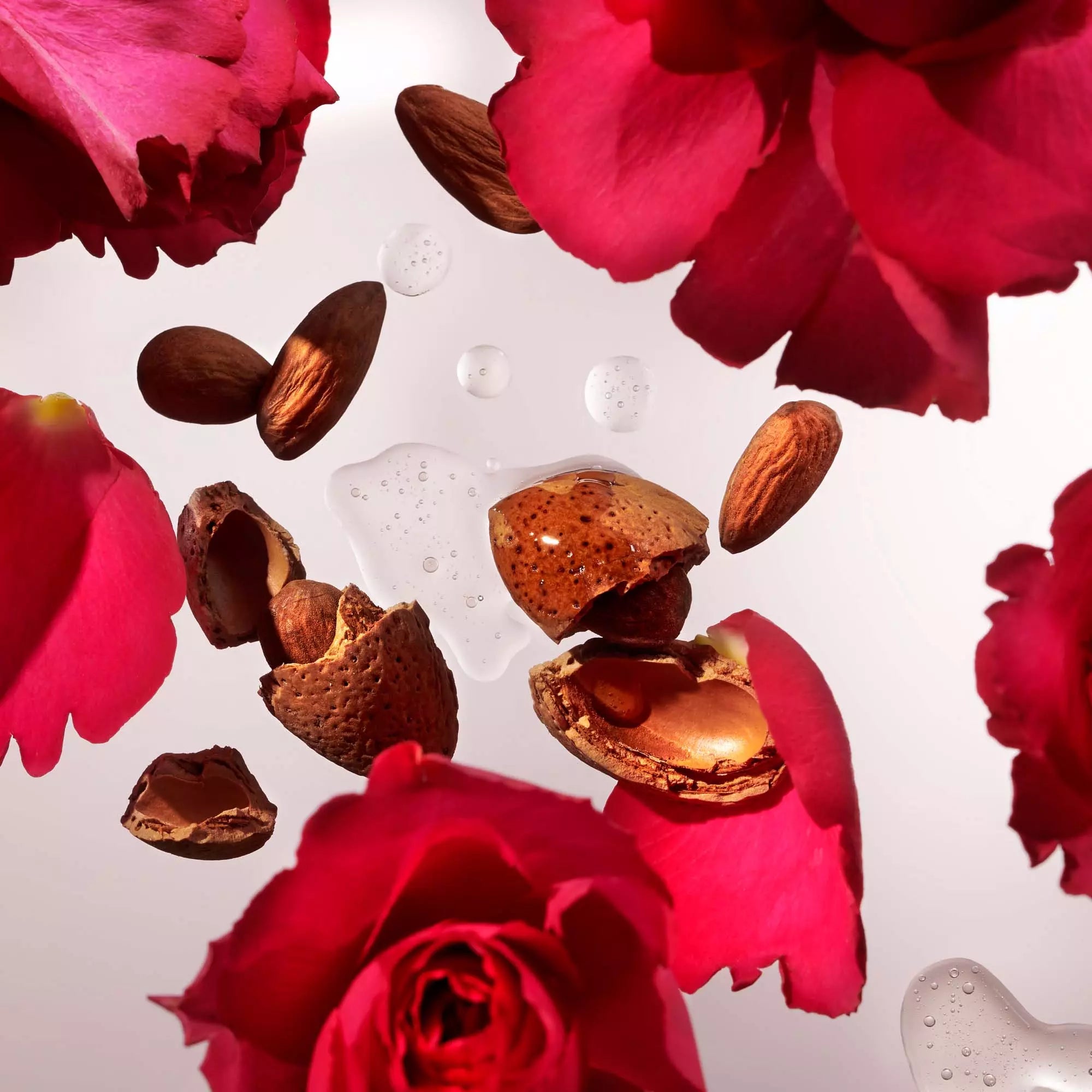 Rituals
The Ritual of Ayurveda
Recovery Hand Balm - Sweet &amp; Nutty - Sweet Almond &amp; Indian Rose 70 ml