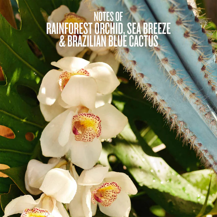 Sol de Janeiro 
Refresco Paraíso Hair &amp; Body Perfume Mist