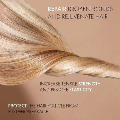 Olaplex Hair Repair Trial Kit Hair Perfector, Shampoo, Conditioner &amp; Bond Smoother